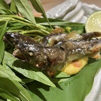お料理 志ぶう - 