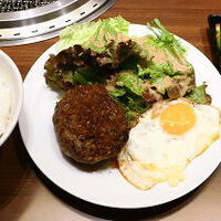 焼肉冷麺 ユッチャン 北新地店 - （数量限定）ハンバーグプレート