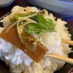 一乗寺つるかめ - 