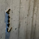 くるますし - 名店の扉はこちら