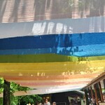 Maruyama Coffee Harunireterasuten