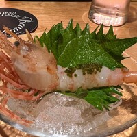 喰呑をかし - ゴジラ海老