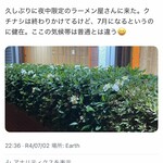 大元 - 2022年7月2日撮影