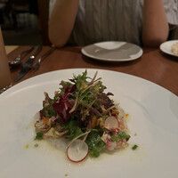 フィオレンティーナ - 