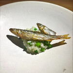 ペルトナーレ - 鮎と豆のリゾット