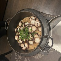 横浜 星のなる木 - 
