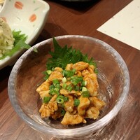 名古屋コーチン 堀江 - 