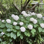 かふぇ楊梅亭 - 