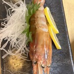 幸ちゃん - 