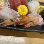 幸ちゃん - 