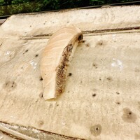 酔虎寿し - 