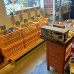 1954 Fukuoka - 野菜も売ってるバイ