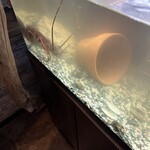 ビストロ セレニテ - 