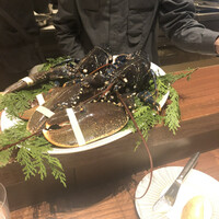 スガラボヴィー - 