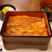 入谷鬼子母神門前のだや - ●かねみつ重 大　7,480円