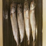 魚正宗 - 