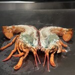 名駅 鉄板焼き 森本Ｘ Premium - 