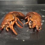 名駅 鉄板焼き 森本Ｘ Premium - 