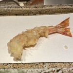 日本橋 蕎ノ字 - 車海老は２本、食べ比べ。レアな感じが素晴らしく、甘い！