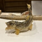 日本橋 蕎ノ字 - 天竜川の鮎、サイズ感がちょうど良い。静岡産の黒ビールと