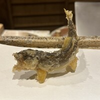 日本橋 蕎ノ字 - 天竜川の鮎、サイズ感がちょうど良い。静岡産の黒ビールと