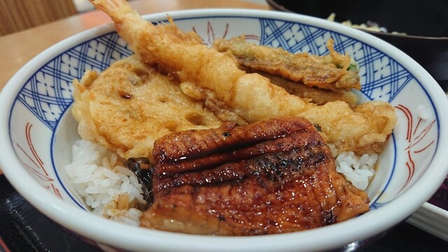 Katsu Ten Naebo Ion Ten