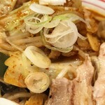 蒙古タンメン中本 - 五目味噌タンメン野菜アップ