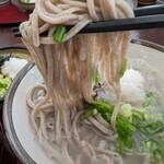 松本蕎麦店 - そば〜