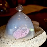 TOKYO Whisky Library - 