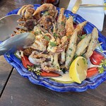 ソロ ノイ スルヌジェ - 