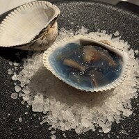 ニシデリア - 