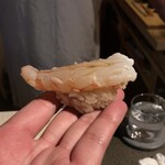 星兵衛 - 富山エビのしゃぶしゃぶ！ 手が映っちゃってすみません。でも、ここからは店主が握った寿司を直接手に乗せて頂き、一気に口に放り込みます。エビのプリップリさたるや！こちらも熟成されているので、甘みとうま味が濃く今までに無い味わいでした。