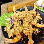 Ton Mamuang Cafe - クントートソッマカーム