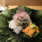 日本料理 鷹光 - 