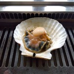 さるふつまるごと館 - 