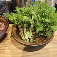 天ぷら浅沼 - 