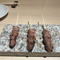 始祖鳥 - 