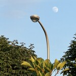 焼きもの家 慶 - 