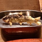 てんぷら 深町 - 