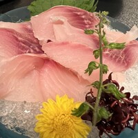 満寿家 - 鯉のあらい　800円　辛子酢味噌の辛子強めで良き