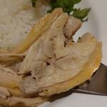 다오타이 하루미 토리톤점 - 타이식 치킨 라이스의 닭고기는 매우 부드럽습니다.