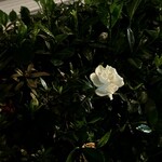 焼きもの家 慶 - 