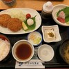 おさかな食堂