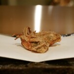 天婦羅くすのき - 