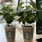 スターバックス コーヒー MIYASHITA PARK店 - 