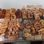 下田流 - 陳列棚の様子③。