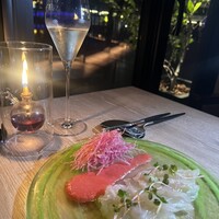 スミレオオサカ -  スミレオオサカ -