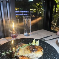 スミレオオサカ -  スミレオオサカ -