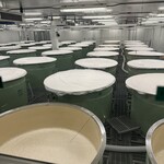 DASSAI BLUE SAKE BREWERY - 