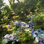 和牛焼肉鎌倉 肉と日本酒 - 